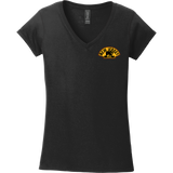 NJ Bears Softstyle Ladies Fit V-Neck T-Shirt