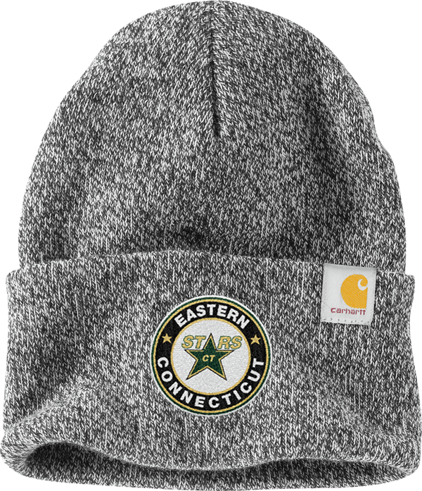 CT ECHO Stars Carhartt Watch Cap 2.0