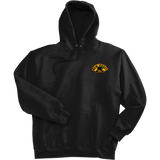 NJ Bears Ultimate Cotton - Pullover Hooded Sweatshirt