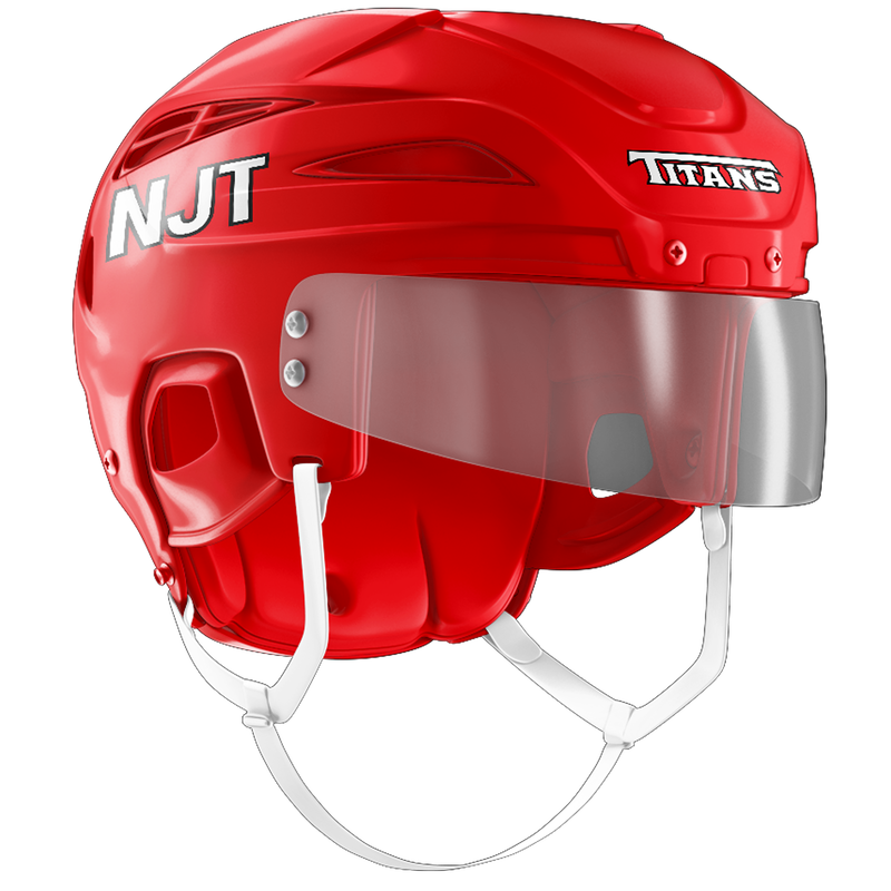 NJ Titans 2011 Helmet Stickers